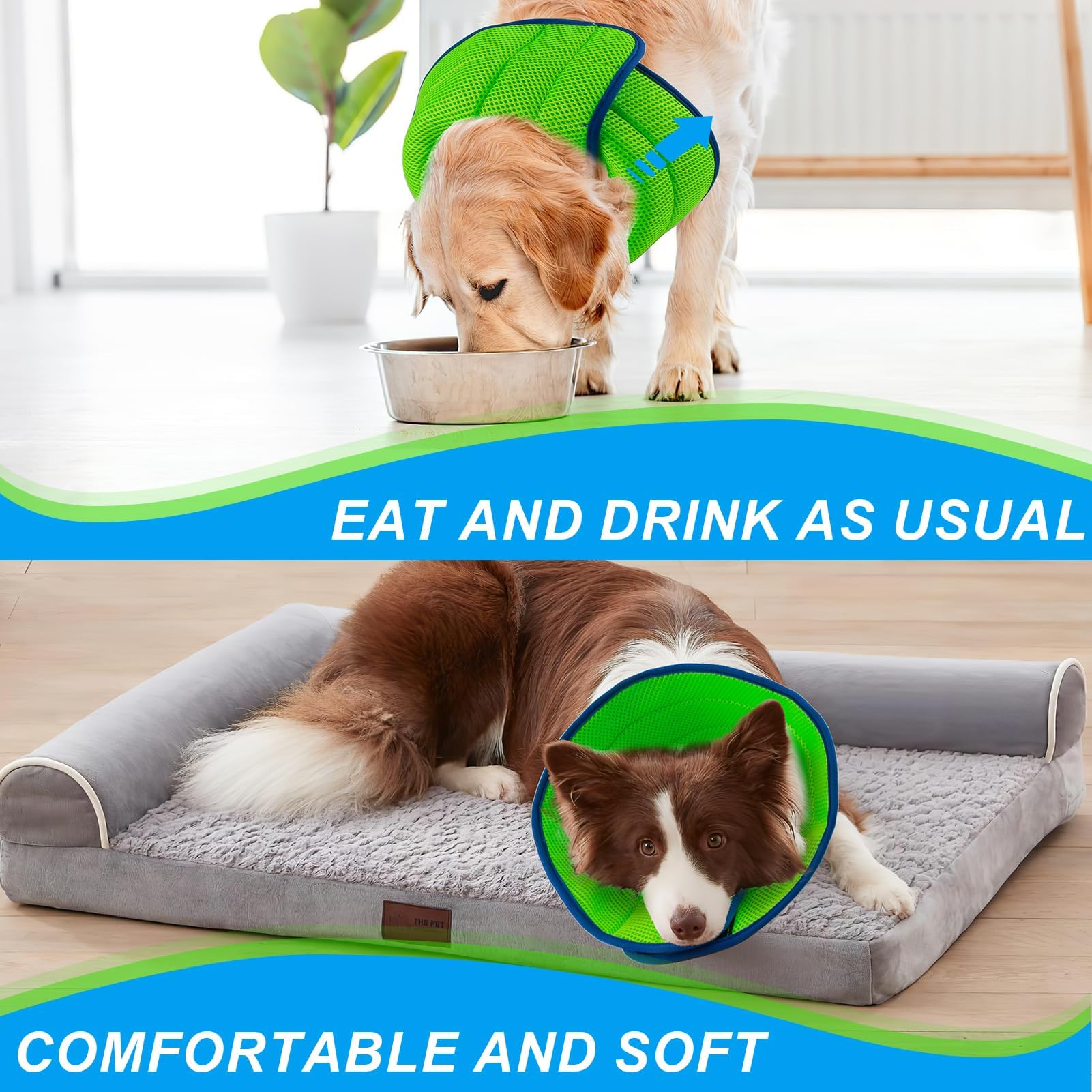 Dog Cone Collar - Image 3