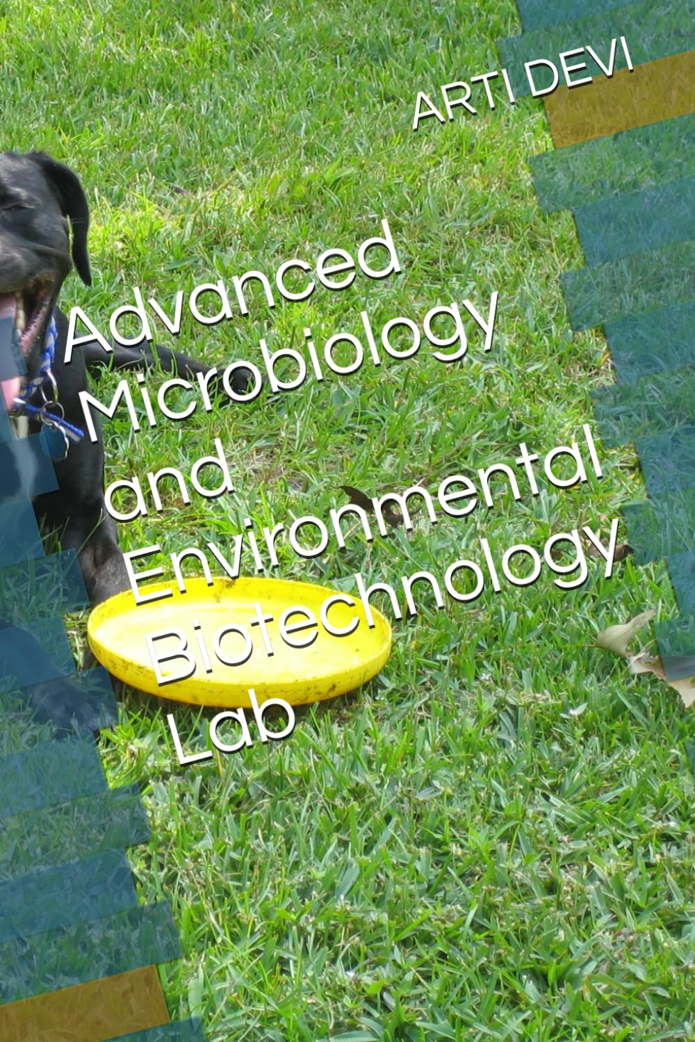 Advanced Microbiology and Environmental Biotechnology Lab