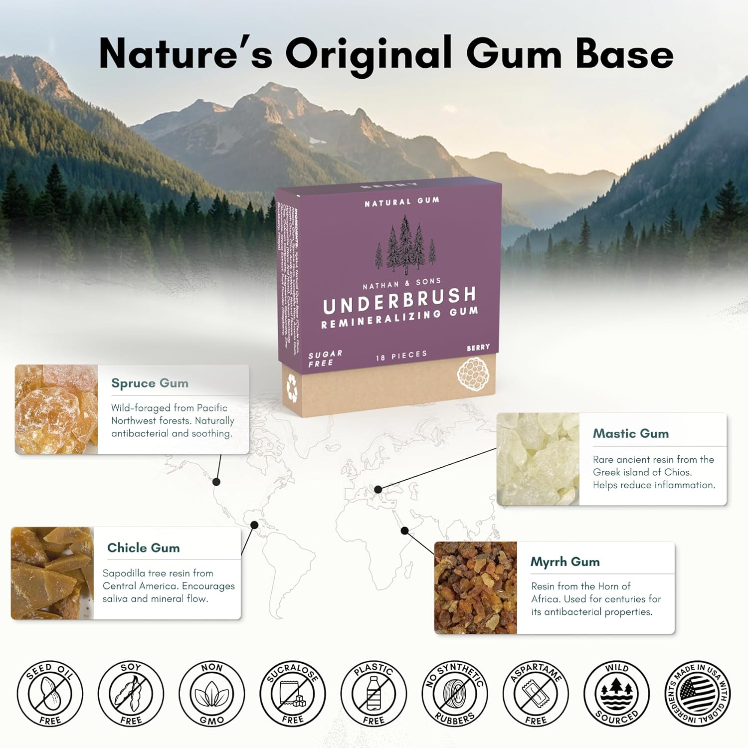 Underbrush Berry Remineralizing Natural Gum, Sugar Free Xylitol Gum with Hydroxyapatite, Supports Fresh Breath and Oral Health, Tree Sap Base, Gluten Free, No Sucralose or Aspartame, 4 Pack