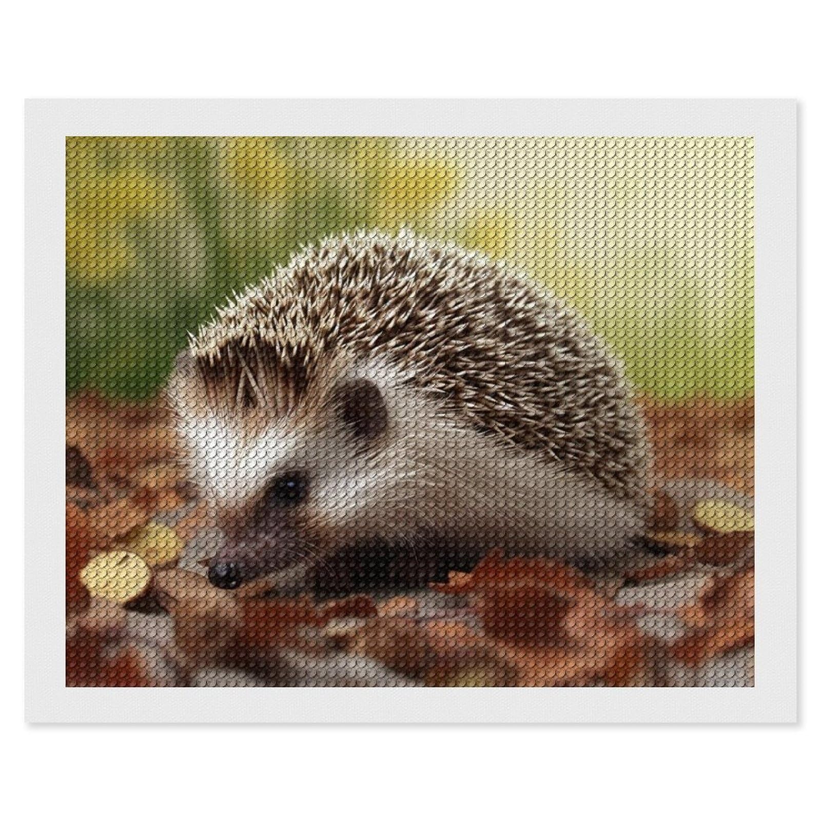 Hedgehog Diamond Art Kits for Adults, DIY 5D Diamonds Painting Kits for Beginner, Round Full Drill Diamond Dots Painting, 16"x20" Diamonds Pictures Gem Art and Crafts Wall Decor