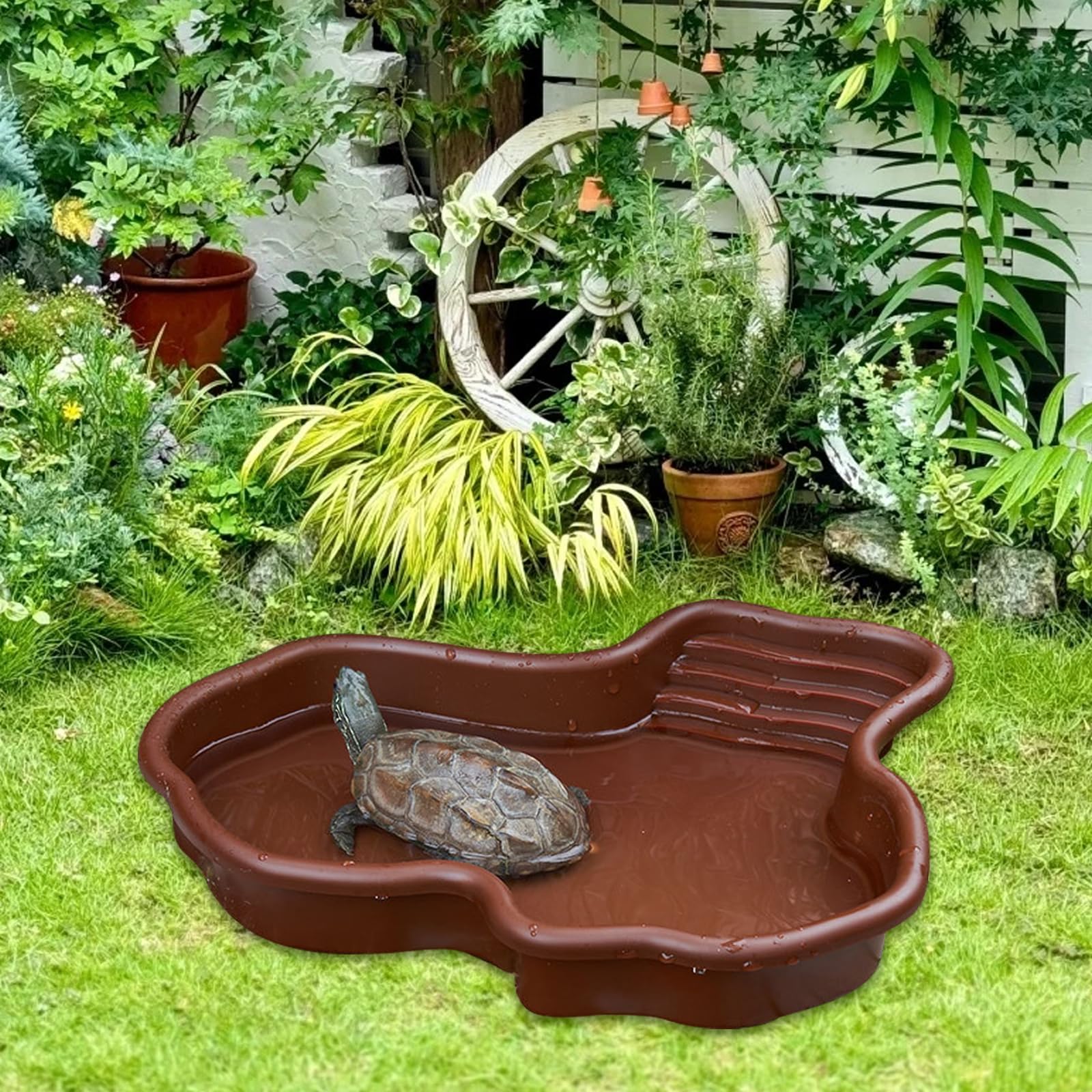 Vasca da bagno rettile, Ciotola per Tartarughe 31*25*5cm, Piscina da Bagno per Rettili, piscina per tartarughe di terra, Vasca da Bagno per Rettili per Tartarughe, Draghi Barbuti, Lucertole e Gechi