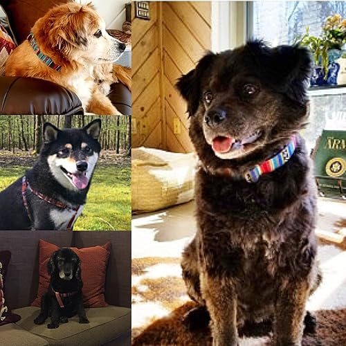 Miniatura 4 de Collar para perro del suroeste, azteca, navajo, tribal bohemio, inspirado en collares para mascotas con hebilla de plástico liso negro para