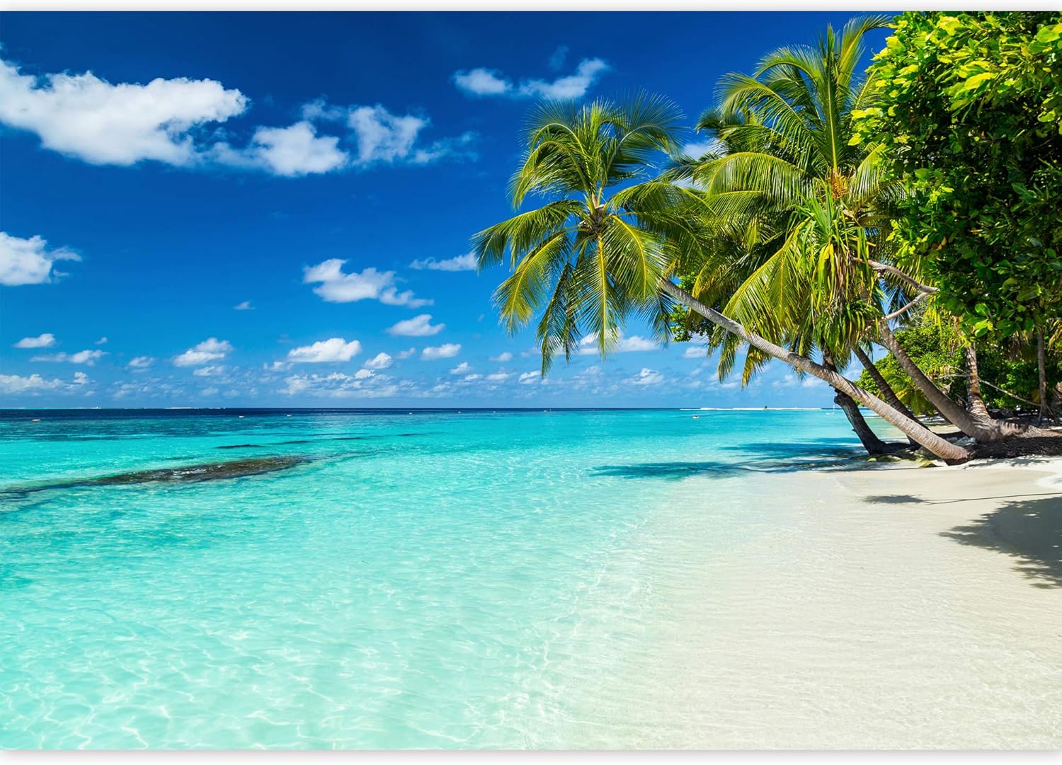 Up To 40% OFF SIGNWIN Wall Mural Beach Seascape Removable Self-Adhesive Wallpaper Wall Decoration for Bedroom Living Room - 66x96 inches Crazy Deals SIGNWIN Wall Mural Beach Seascape Removable Self-Adhesive Wallpaper Wall Decoration for Bedroom Living Room - 66x96 inches