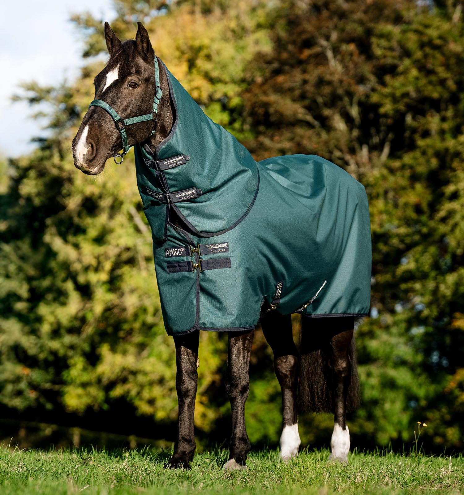 Amigo® Ripstop 900D Plus Turnout 0g - Dynasty Green/Navy & Silver, 84 — image 1