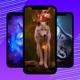 Galaxy Wolf Wallpaper
