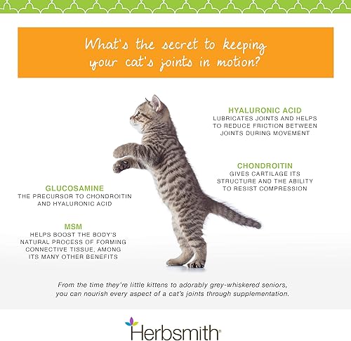 Miniatura 4 de Herbsmith Sound Kitty - Cuidado articular 5 en 1 para gatos con condroitina, glucosamina y MSM, alivio natural del dolor articular para gatos, 2.65
