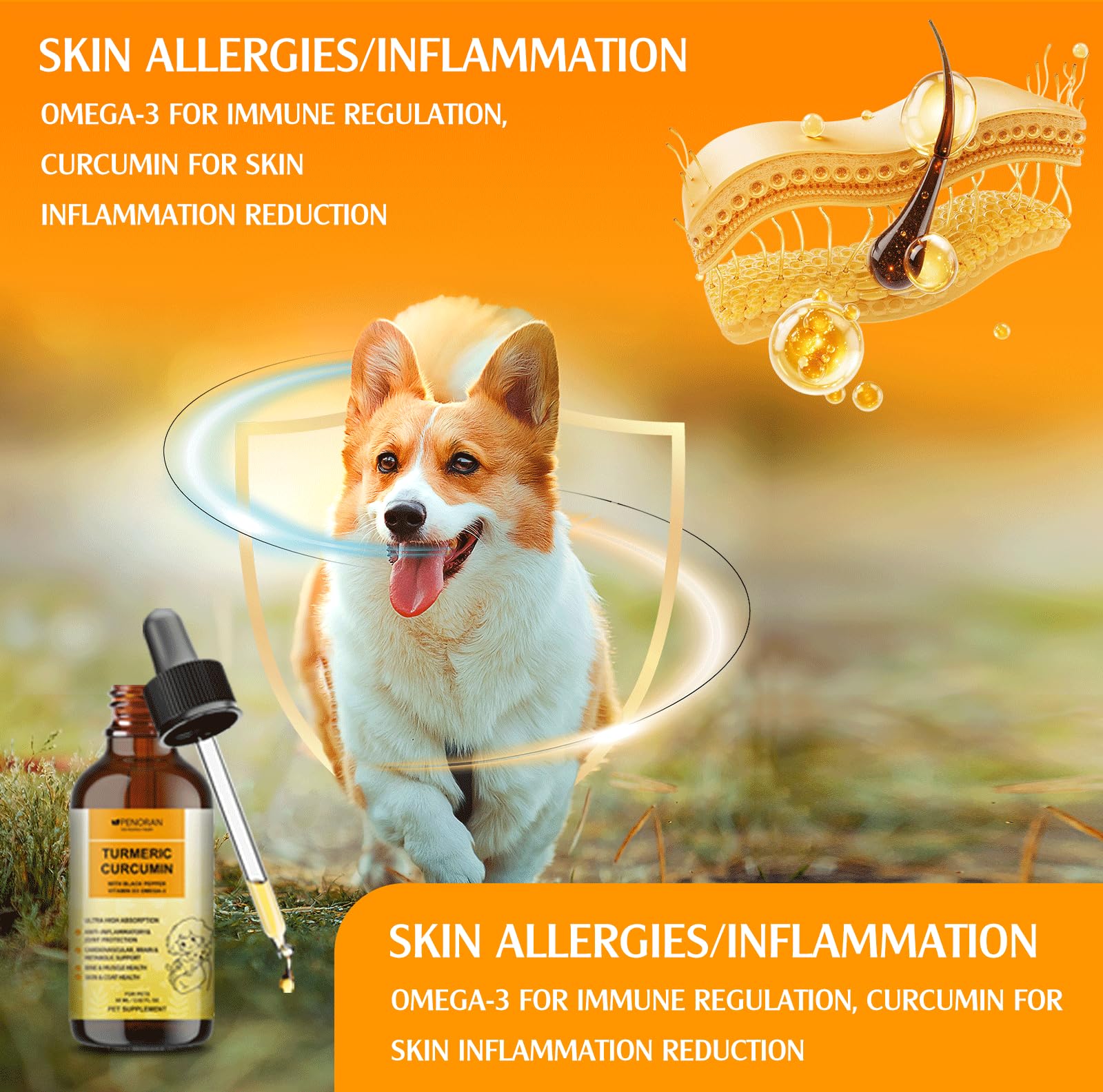 Gotas de curcumina y cúrcuma para Perros Mayores y Trabajadores: Movilidad y flexibilidad Articular, recuperación del Dolor, digestivo, Cerebro, hígado, Hueso, músculo, Piel, Pelaje - Mejor absorción