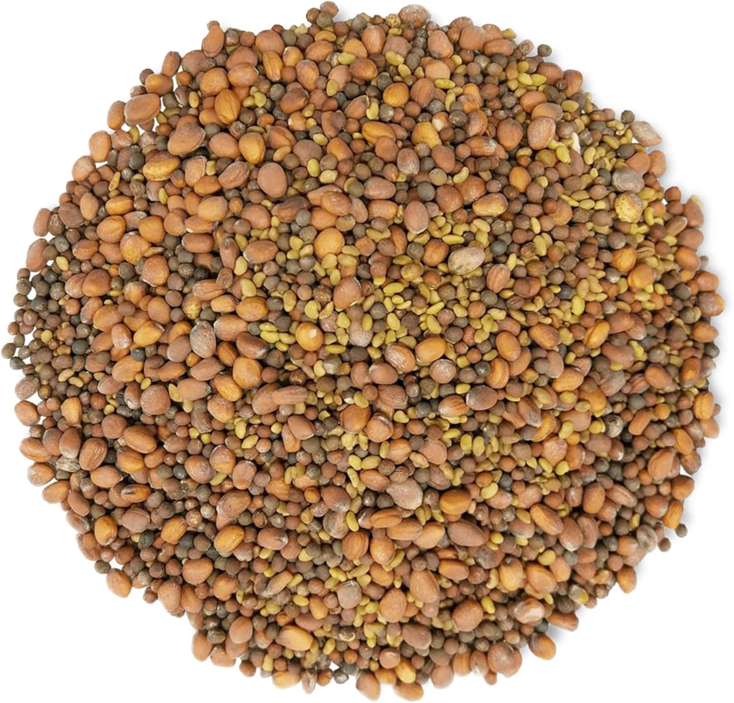 Food to Live Spicy Mix of Sprouting Seeds, 5 Pounds - Broccoli, Radish, Alfalfa, Kosher, Raw