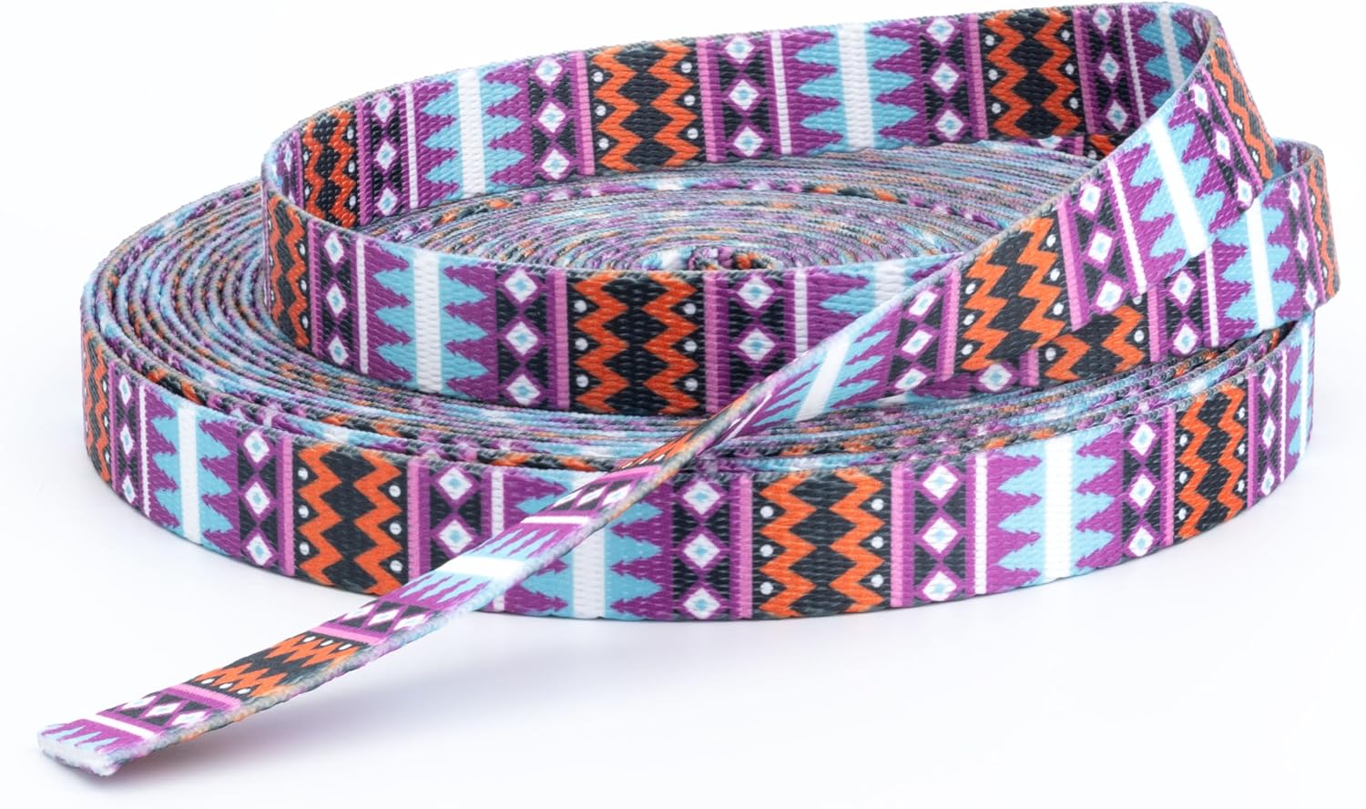 Country Brook Design - Santa Fe Polyester Webbing (2 Inch)