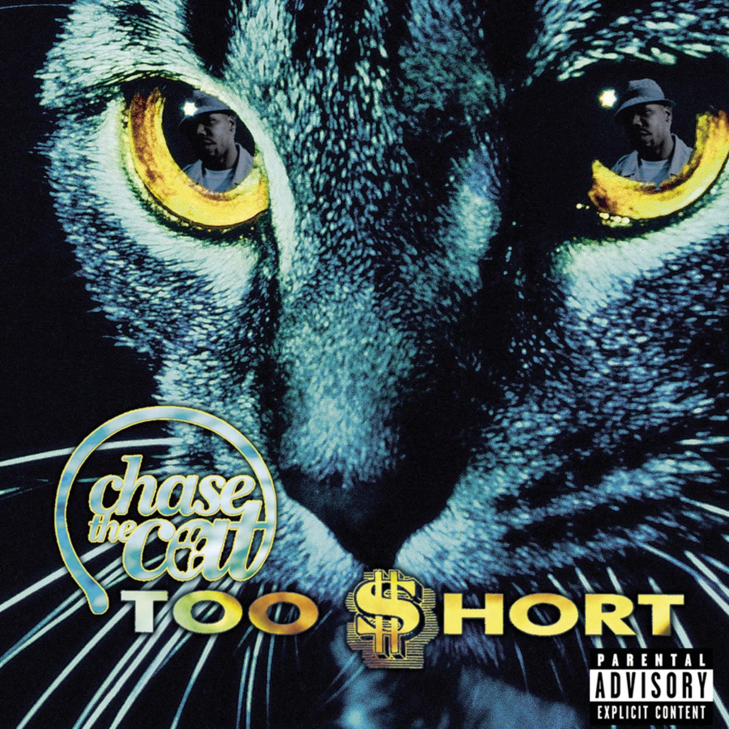 Chase the Catexplicit_lyrics