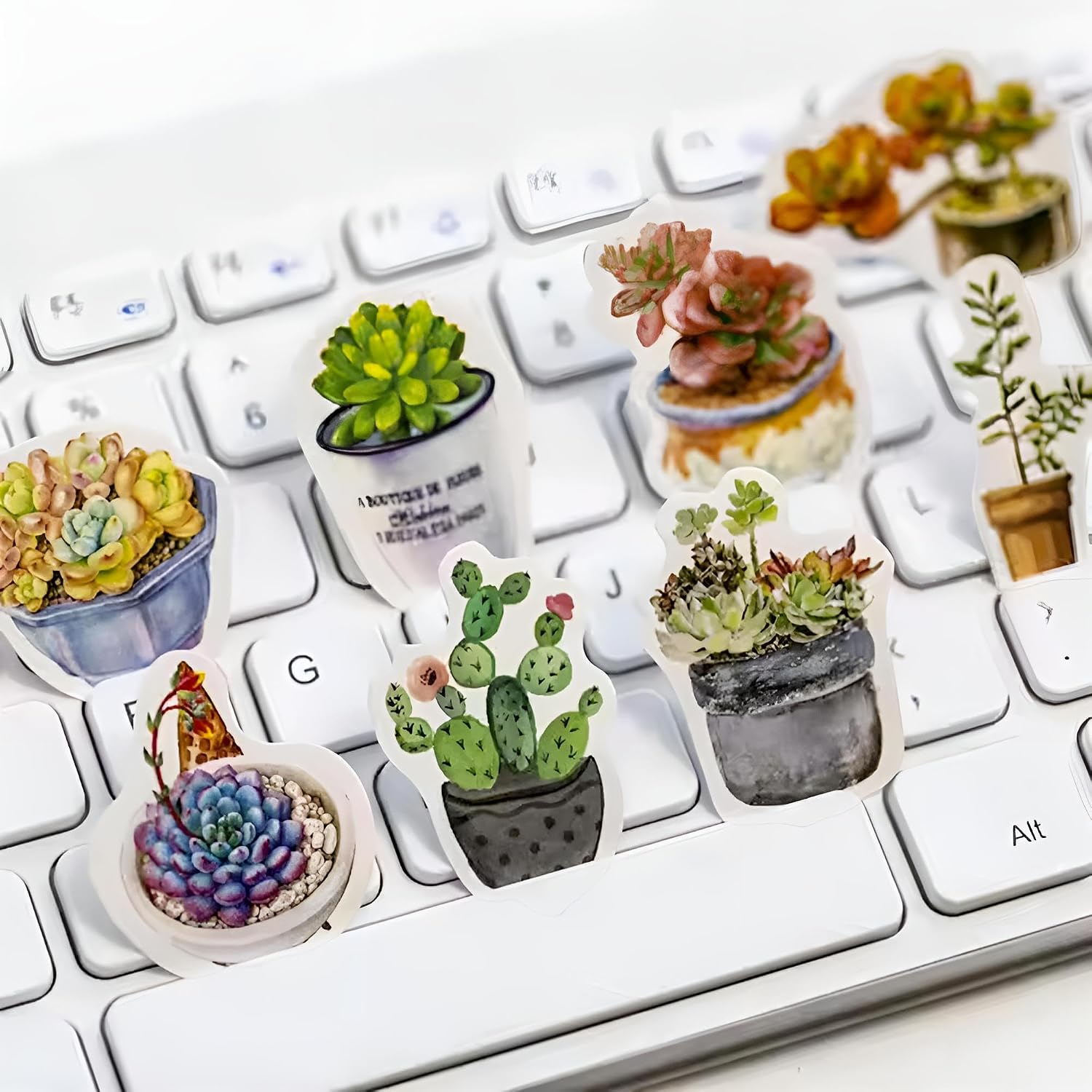 Small Succulent Sticker, 50 pcs, Green Plants Mini Size Laptop Stickers, Small Plants Scrapbooking Decals, Package Dimensions 1.7 x 1.7 x 0.4inch, 4.5 x 4.5 x 1.2 cm (Green)