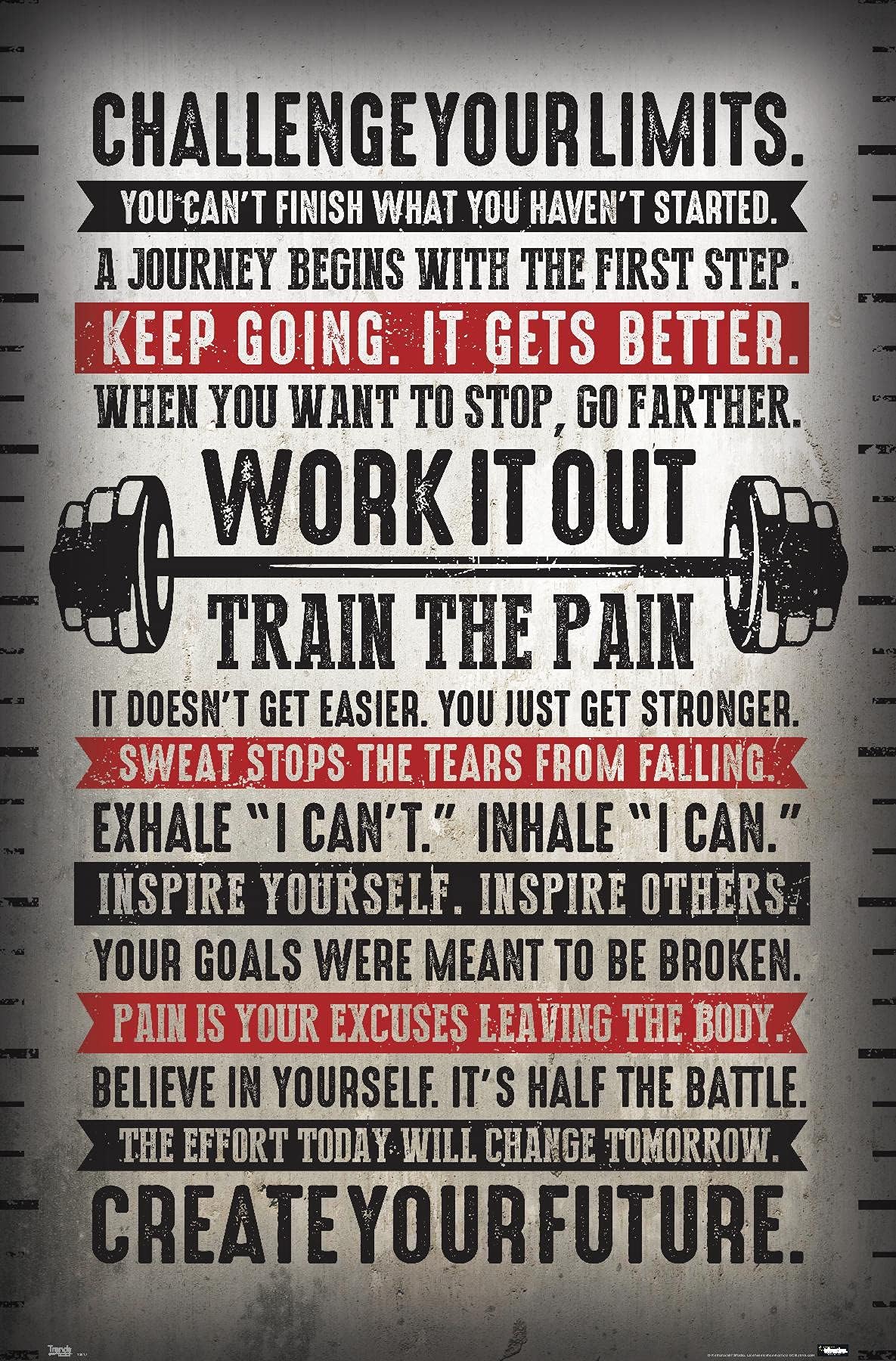 Challenge Your Limits Wall Poster, 22.375" x 34", Unframed Version