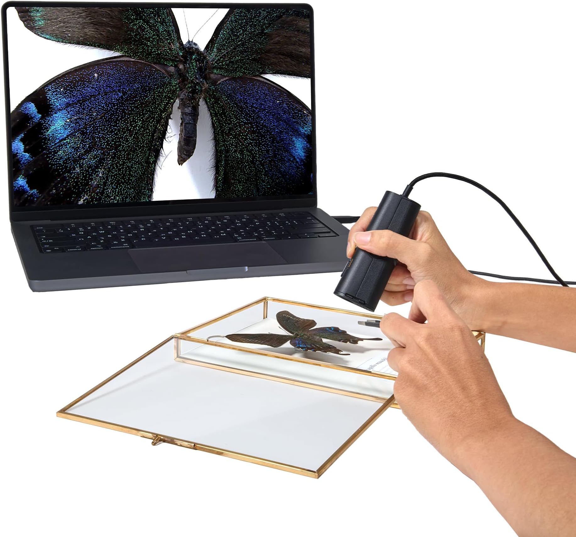 P2V Ultra 4K/13MP Object Camera with Camera Clip, 1cm Super Macro Focus, Handheld & Doc Camera, Built-in Mic with AI Noise Reduction, for Close-up Demo, Teaching & Online Meeting