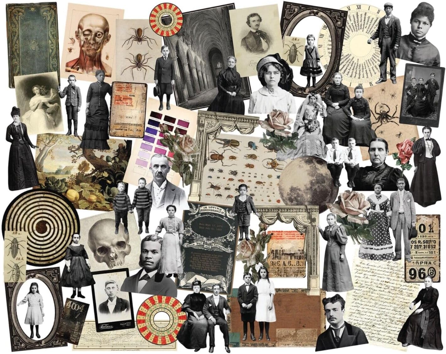 Tim Holtz Idea-ology Ephemera, Layers + Paper Dolls Halloween 2024-2 Item Bundle