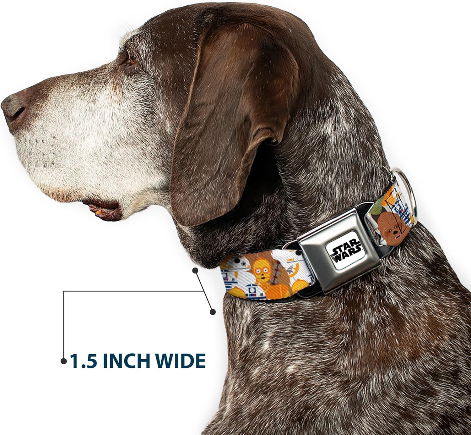 Star Wars Pet Collar, Dog Collar Metal Seatbelt Buckle, Star Wars 5 Character Poses Stacked, 15 to 24 Inches 1.0 Inch Wide
