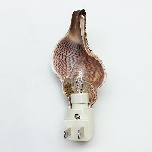 Miniatura 3 de PEPPERLONELY Amarillo Copa Mexicana Conchas de Mar Luz Nocturna Luz Nocturna Náutica Natural Concha Playa Decoración del Hogar