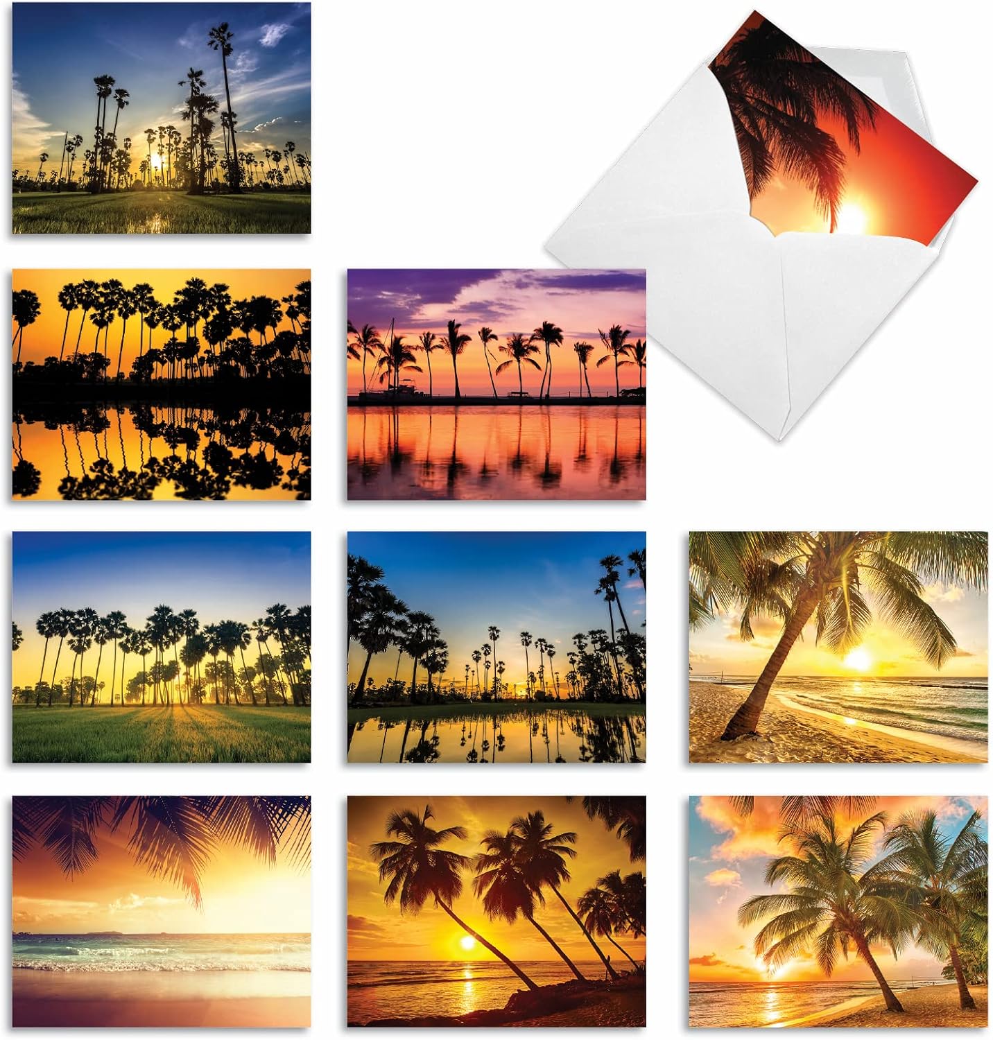 The Best Card Company - Box of 10 All Occasion Cards Blank (4 x 5.12 Inch) - Scenic Landscape Cards Assorted - Palm Beaches M6457OCB
