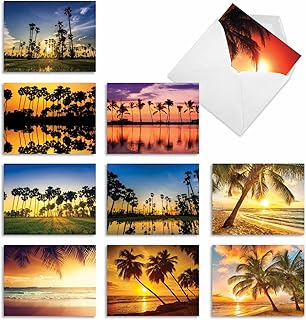 The Best Card Company - Box of 10 All Occasion Cards Blank (4 x 5.12 Inch) - Scenic Landscape Cards Assorted - Palm Beaches M6457OCB-NB