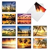 The Best Card Company - Box of 10 All Occasion Cards Blank (4 x 5.12 Inch) - Scenic Landscape Cards Assorted - Palm Beaches M6457OCB-NB