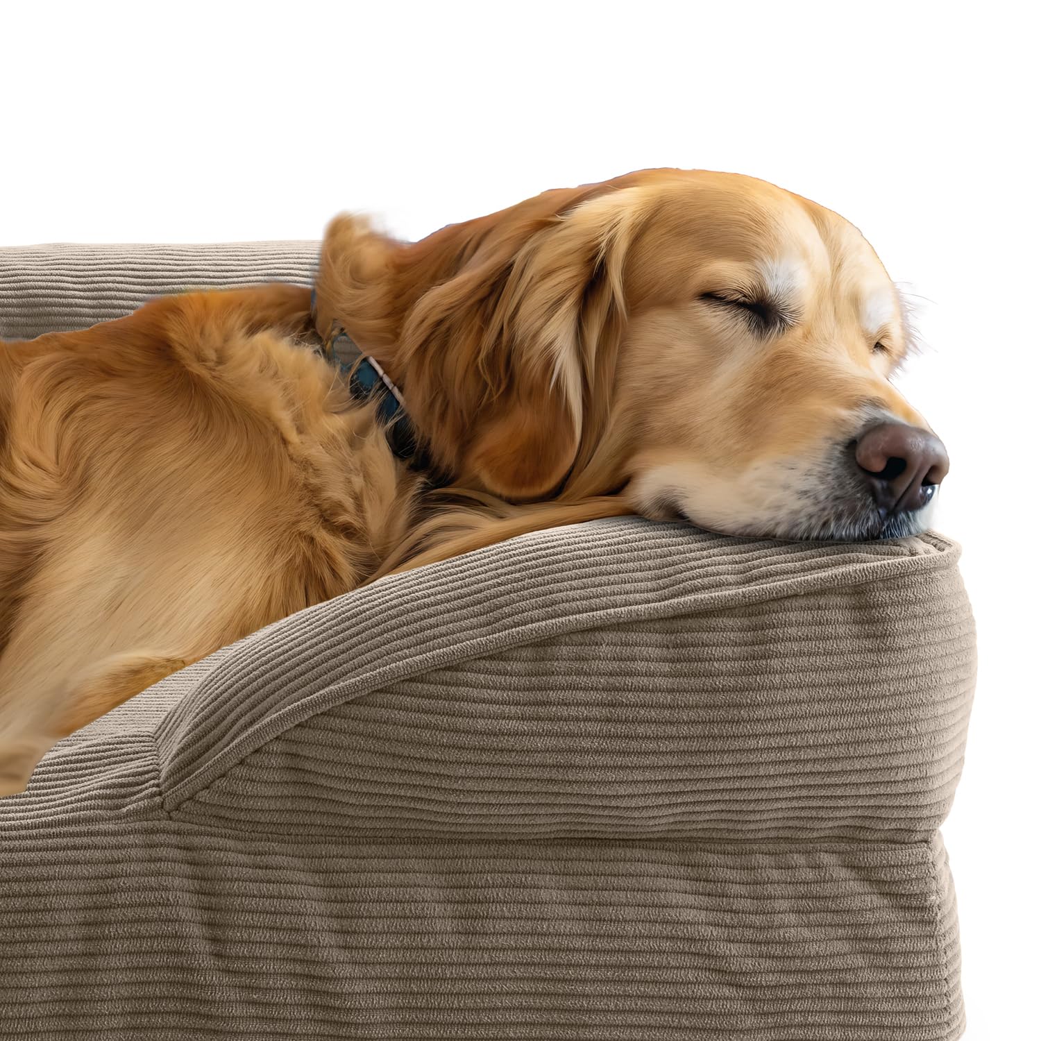 Lumaland Cama ortopédica para Perros de Pana | Sofá ergonómico para Perros Grandes | Base Antideslizante | Relleno y Funda Lavable | Cesta para Perros con Espuma viscoelástica