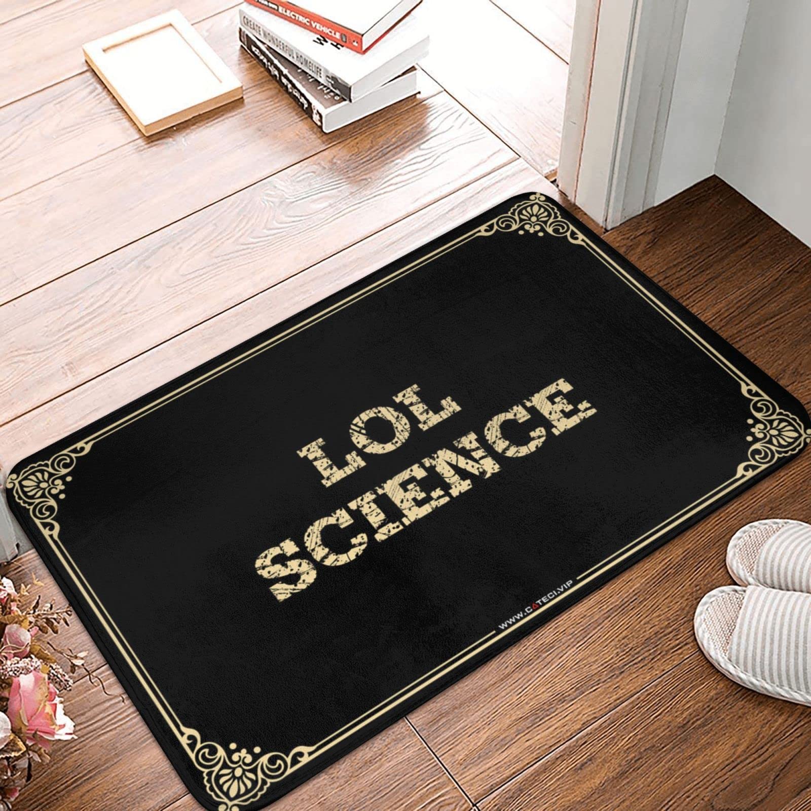 Tapis de porte amusant LOL Science paillasson entrée extérieure 65x90 cm