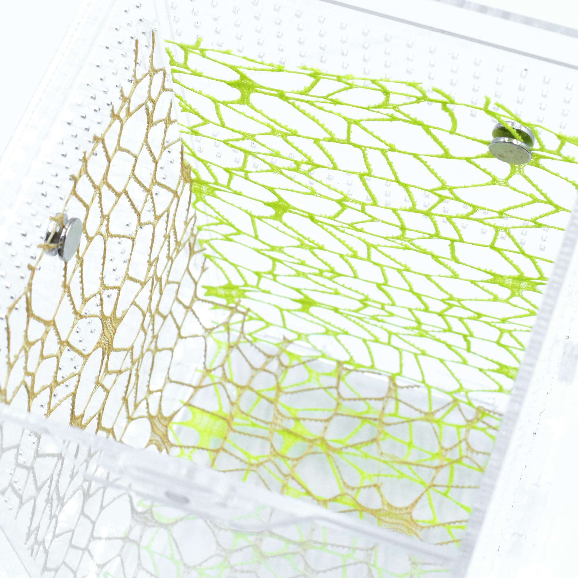 Jumping Spider Accessories, 6 Psc Climbing Nets with 12 Magnets