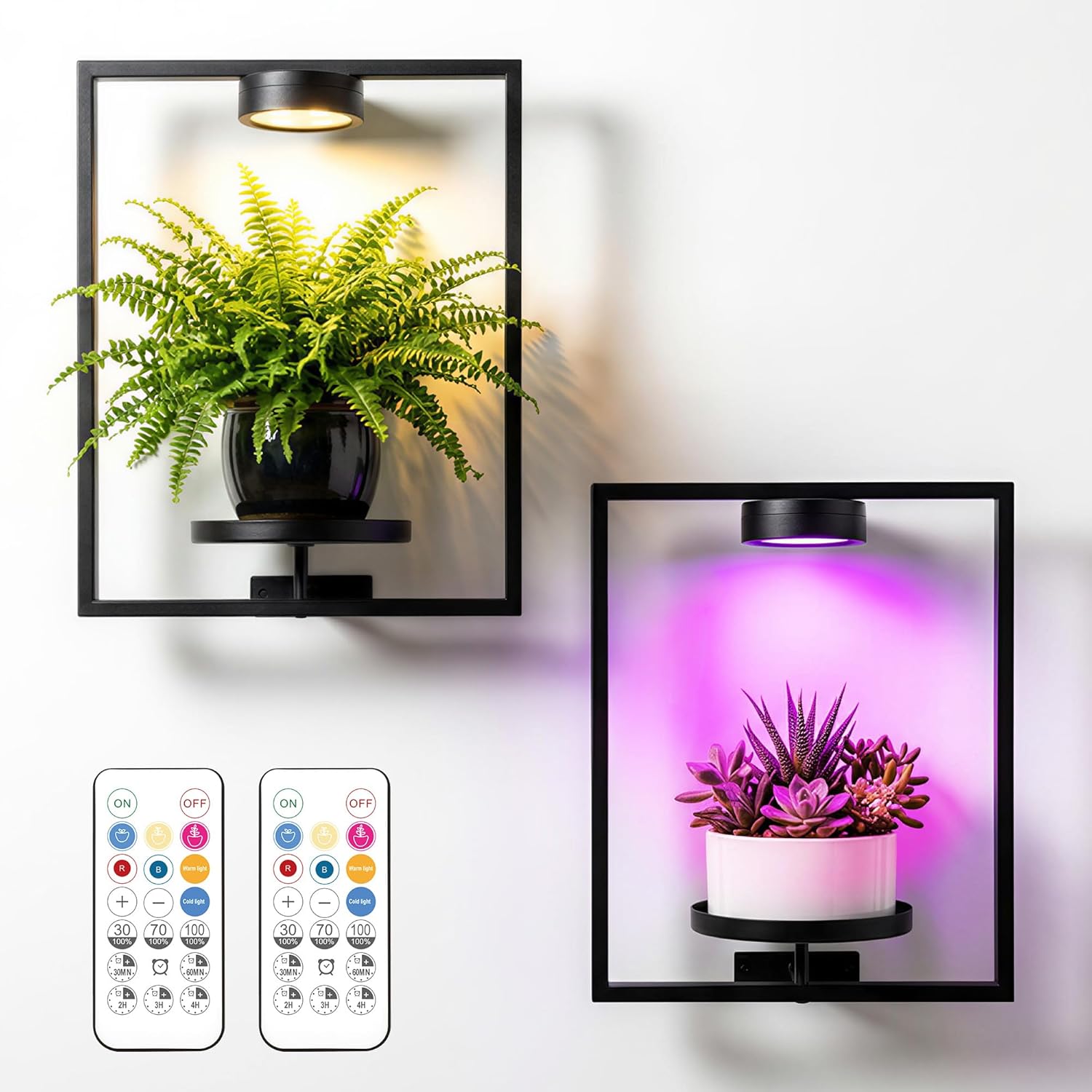 Wall Plant Holder with Grow Light, 2 Pack Picture Frame Mounted Shelf with Rechargeable LED Grow Lights for Indoor Plants, Black Metal Botanical Decor for Living Room Bedroom