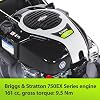 Murray EQ2-700X Petrol Lawnmower Self-Propelled 4-in-1 Petrol Lawnmower 56 cm 75 L Grass Catcher Basket for Small and Medium Lawns Petrol Lawnmower with Briggs & Stratton Engine