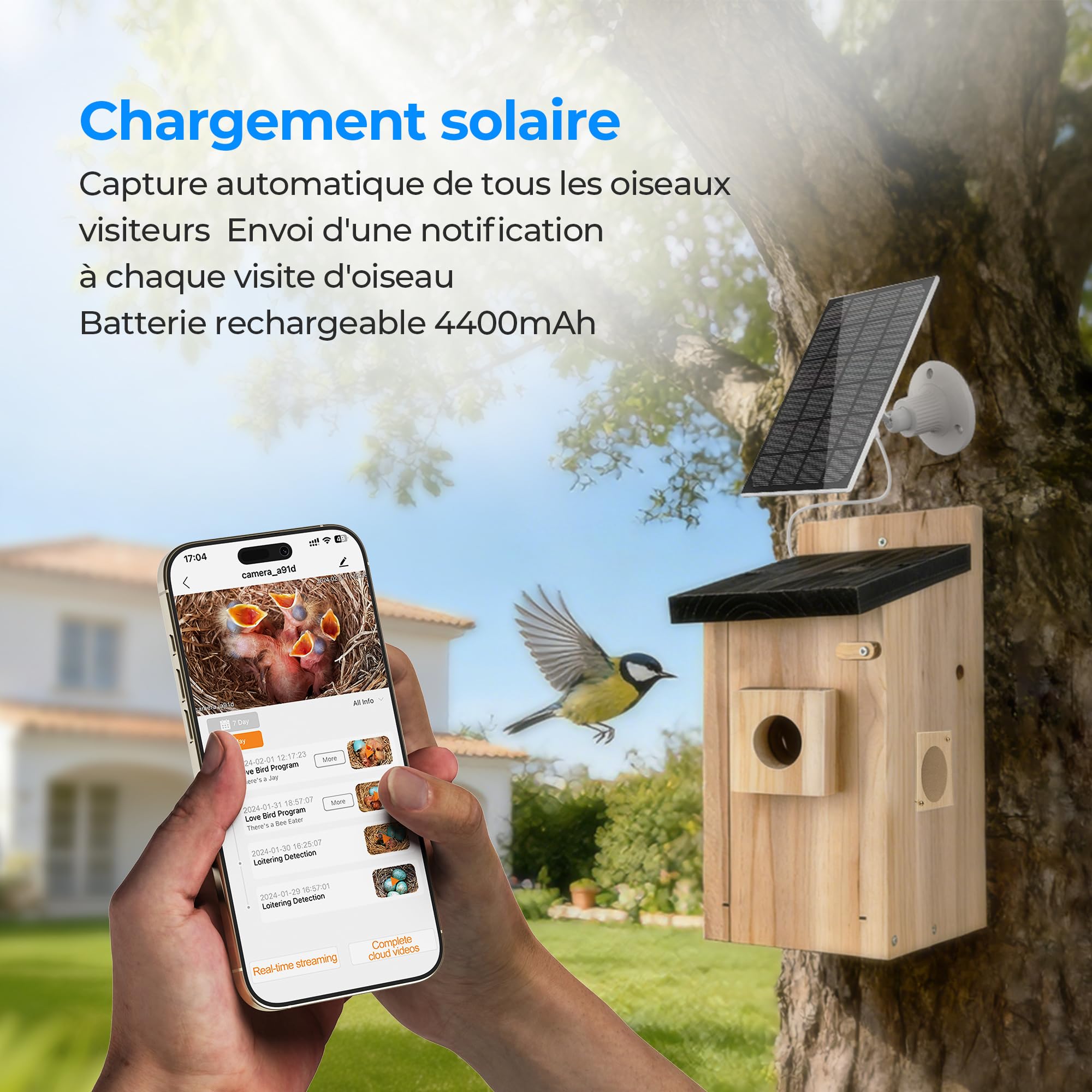 Nichoir à Oiseaux Extérieur avec Caméra 4MP - Maison pour Oiseaux avec Caméra Solaire, Observation en Direct de la Nidification, Étanche IP65, WiFi 2.4G, Kit de Montage DIY