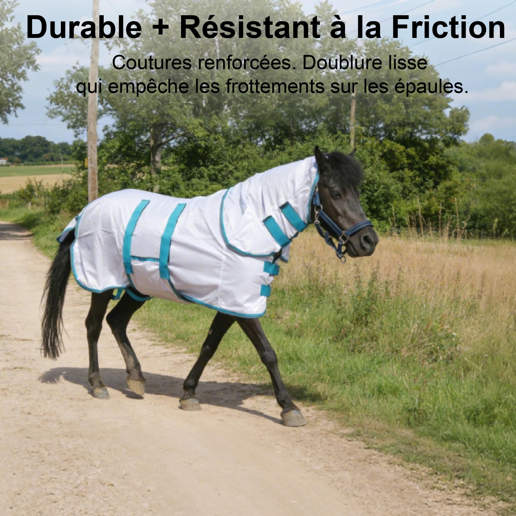 Manta antimoscas para mini caballo, pequeño pony, con tapa para cuello y banda vientral, extraíble, protección UV, malla ligera y transpirable, para burro, miniatura, potro destetado