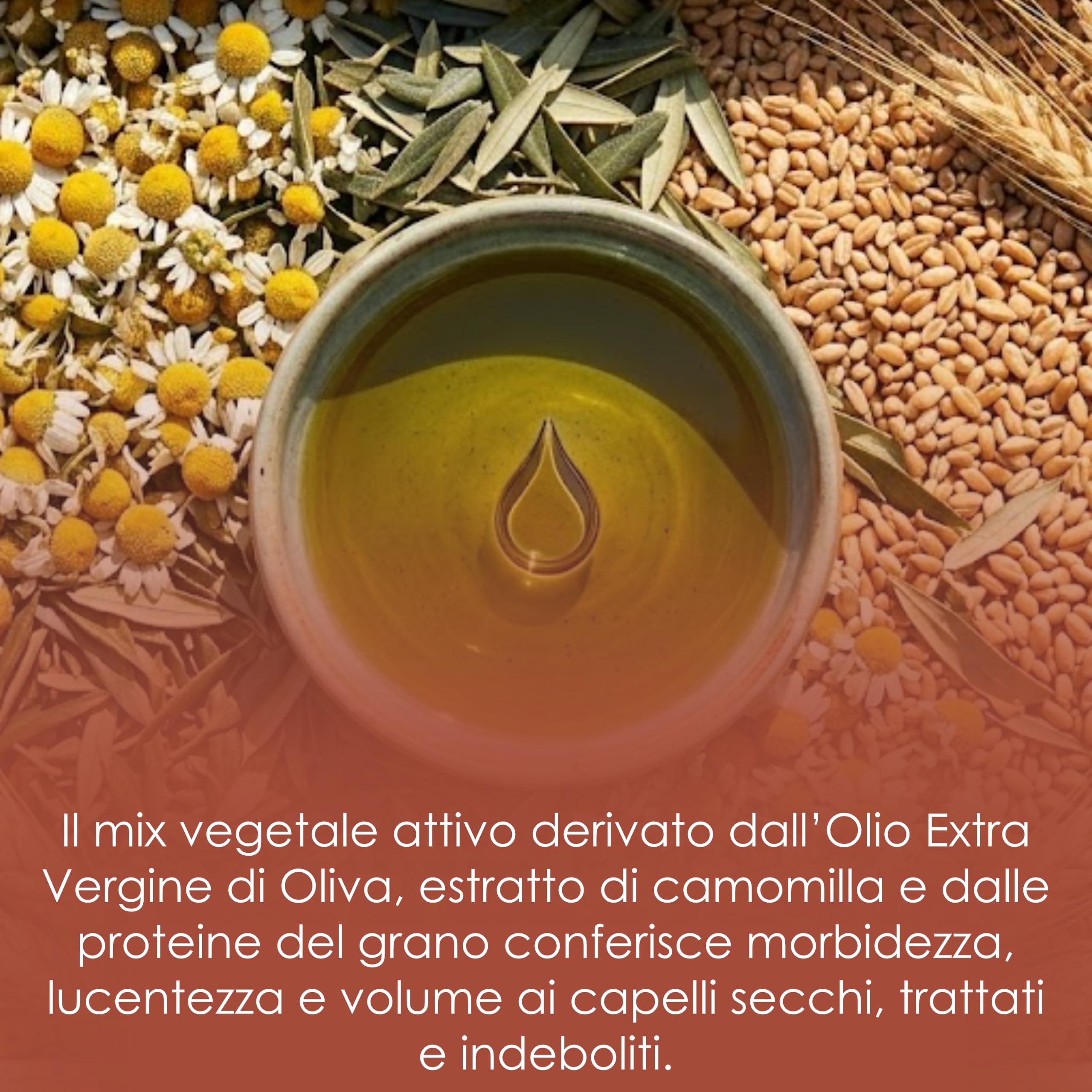 Shampoo Nutriente Cheratina Olio Bio Fiori di Olivo 200ml | Ripara e nutre capelli secchi e indeboliti con olio EVO bio e proteine vegetali, senza parabeni