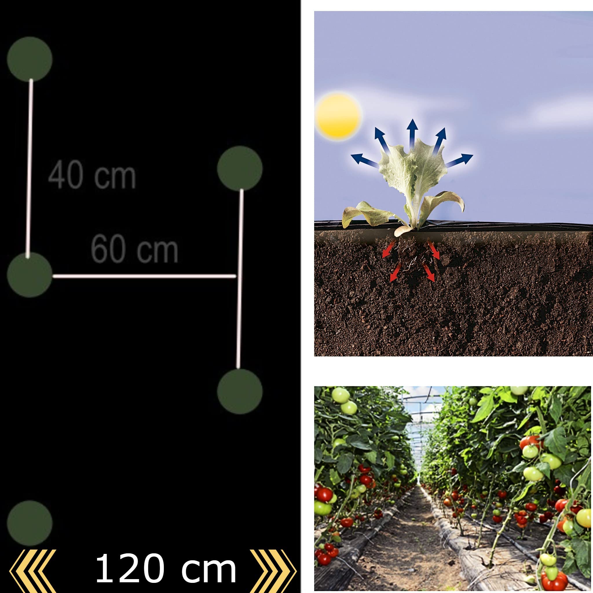 Bricoloco Acolchado para huerto Film de Polietileno Ancho 1 Metro Perforado galga 200 Perforado Especial Cultivo de Tomates. (650 Metros)