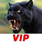 Jeu de survie en 3D avec une panthère dans la jungle