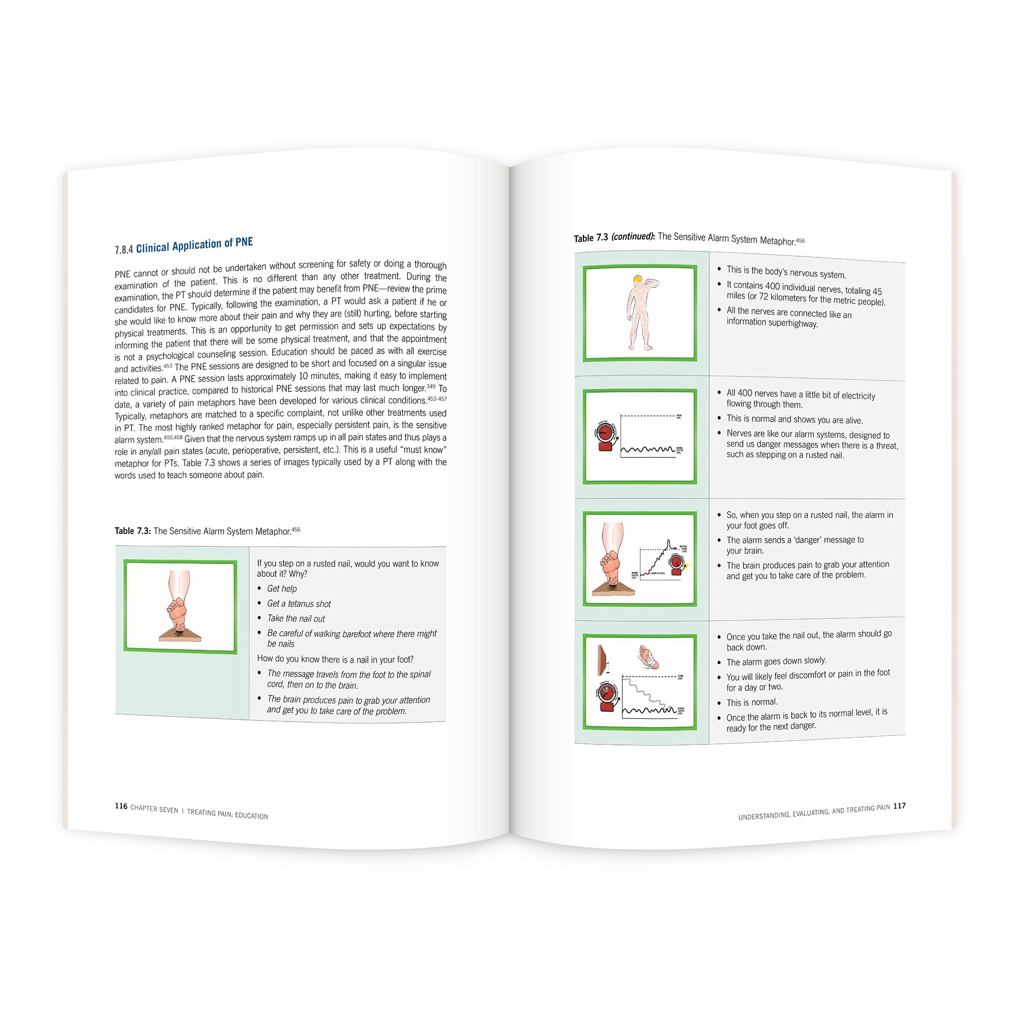 Understanding, Evaluating and Treating Pain for the PT and PTA Student - Image 6