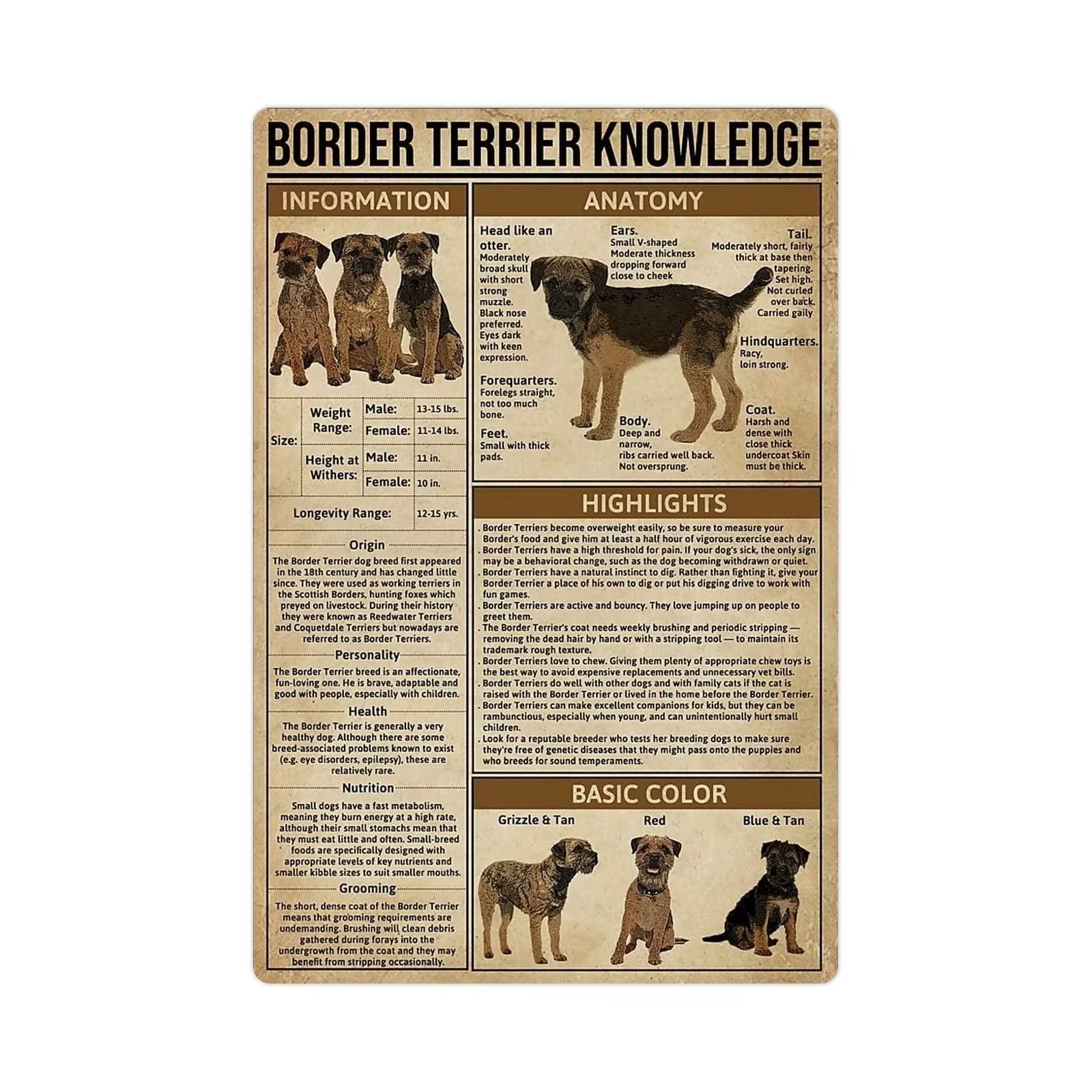 KWQDOZF Border Terrier Knowledge Metal Tin Signs Border Terrier Infographic Retro Posters Dog Science Guide Plaques Home Courtyard Club Farmhouse Wall Decor 12x16 Inches