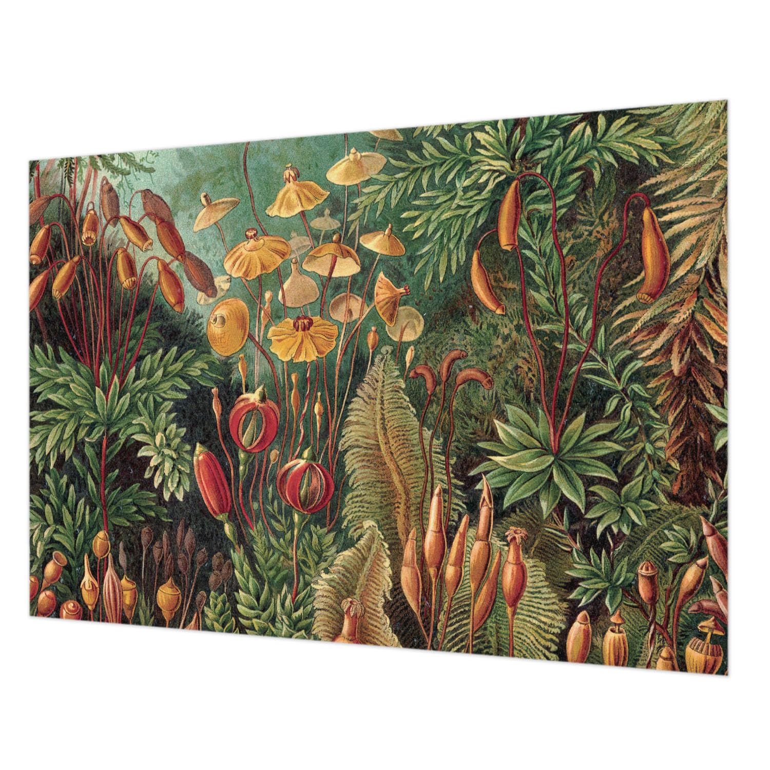 Tapisserie intissée facile à nettoyer pour masquer les imperfections d'un grand mur