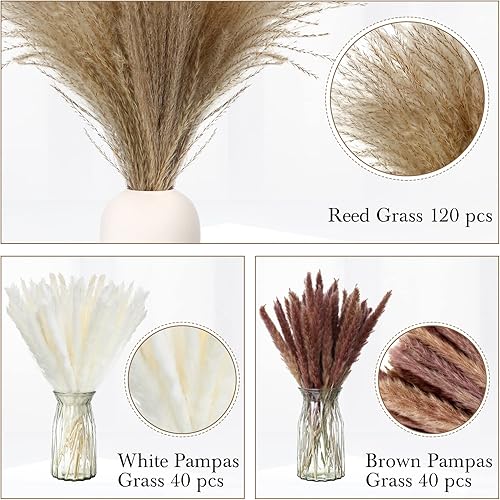Miniatura 6 de 200 piezas de hierba seca de las pampas de 17 pulgadas, ramo de hierba pomposa esponjosa de caña seca natural, decoración bohemia, pampas marrones y