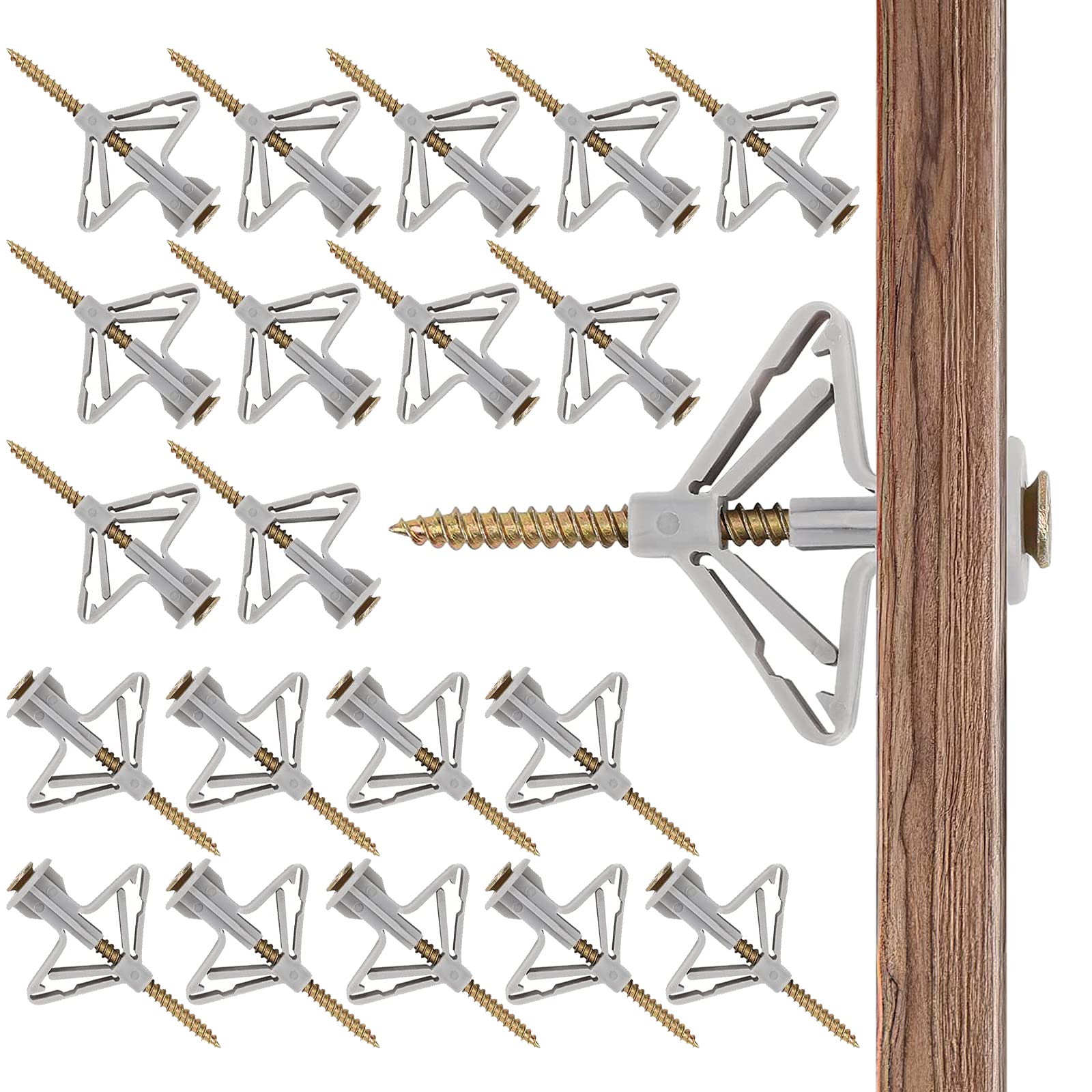 Buy 20 Pcs Plasterboard Wall Plugs and Screws Plasterboard Wall Plugs