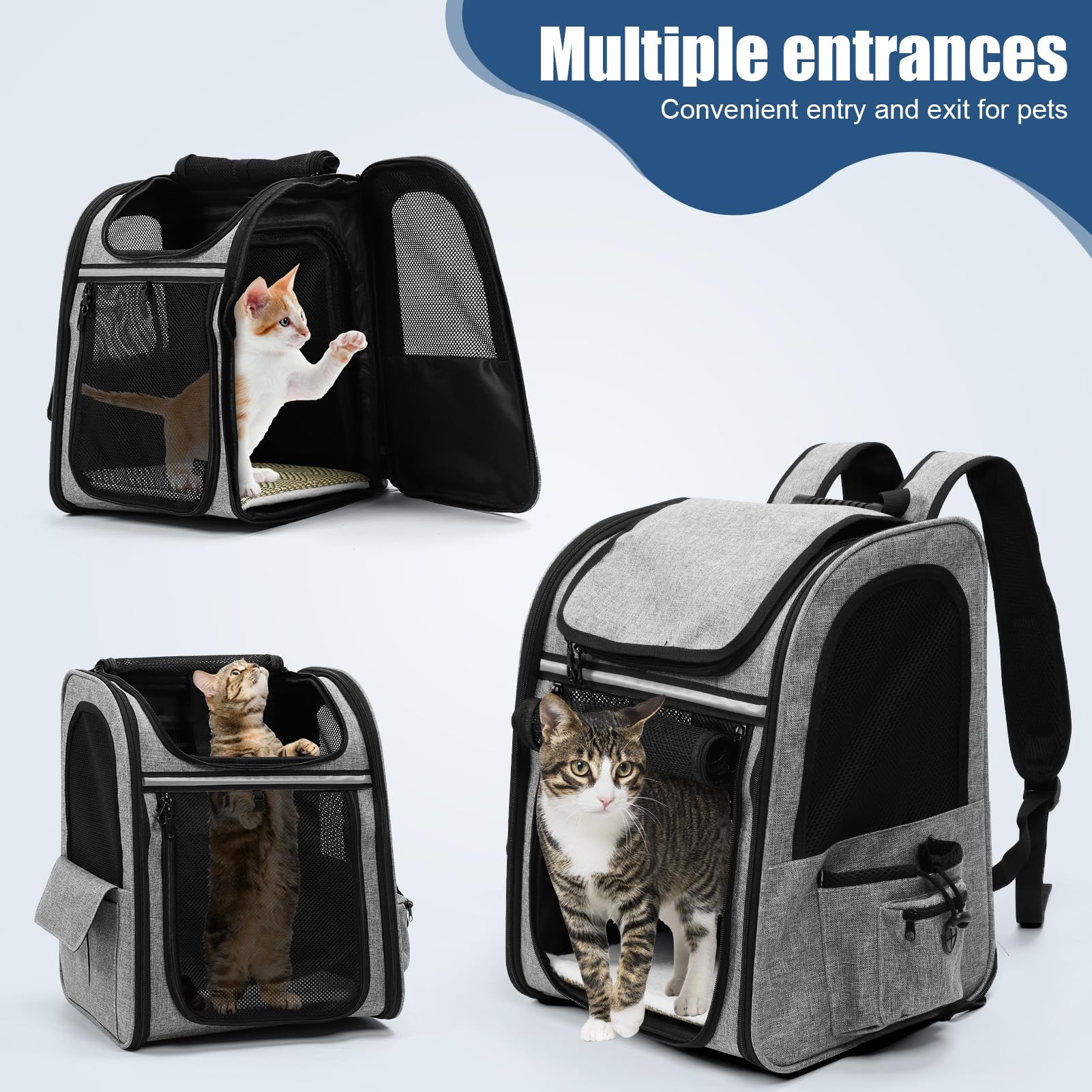 Sac Transport Chat,Sac à Dos Extensible pour Chat pour Chien jusqu'à 8 kg-avec Laisse de sécurité intérieure et Tapis pour Animaux de Compagnie-Sac de Transport pour Chat (Max.8KG)