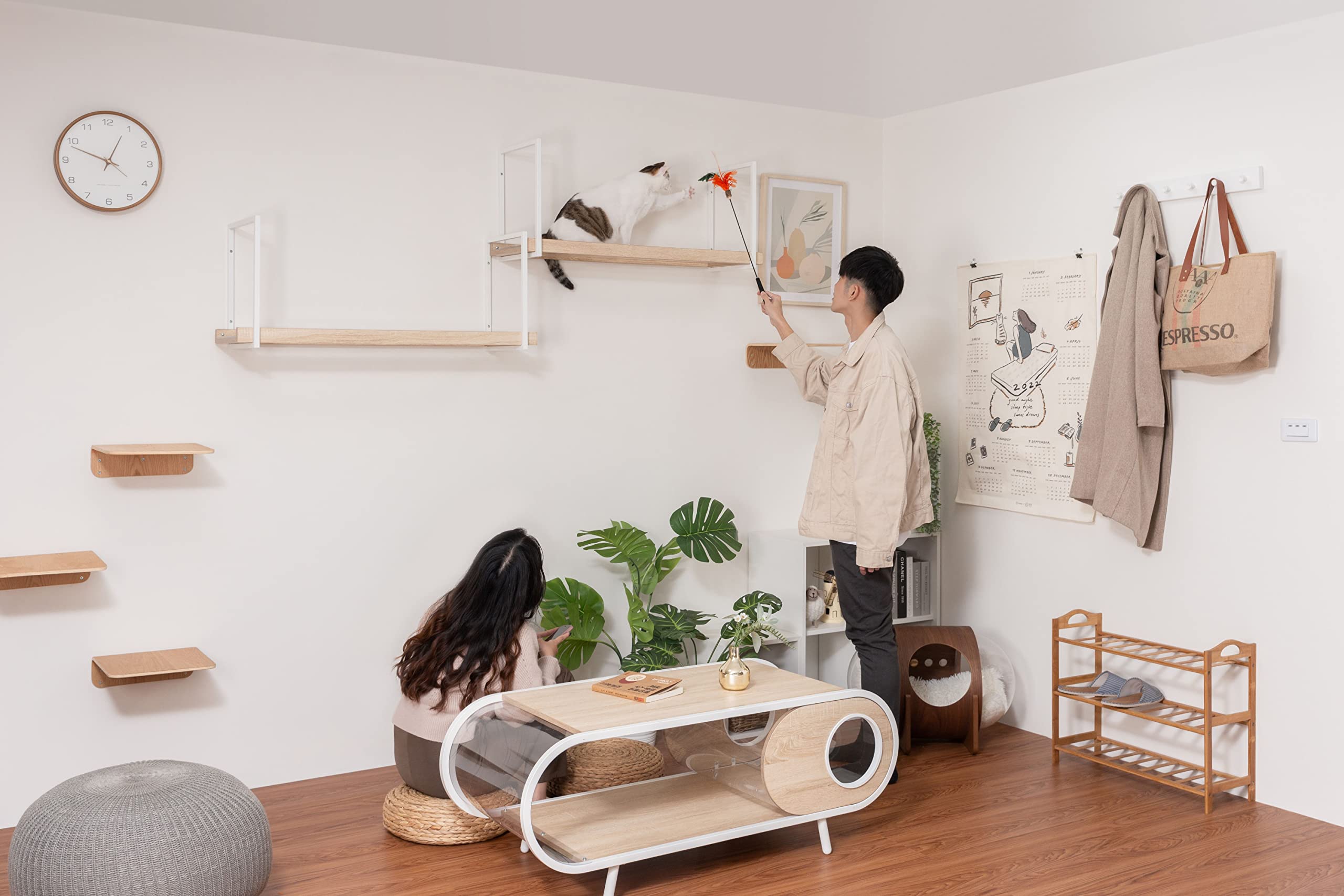 Amazon.co.jp: MYZOO マイズー AVENUEキャットステップ キャット