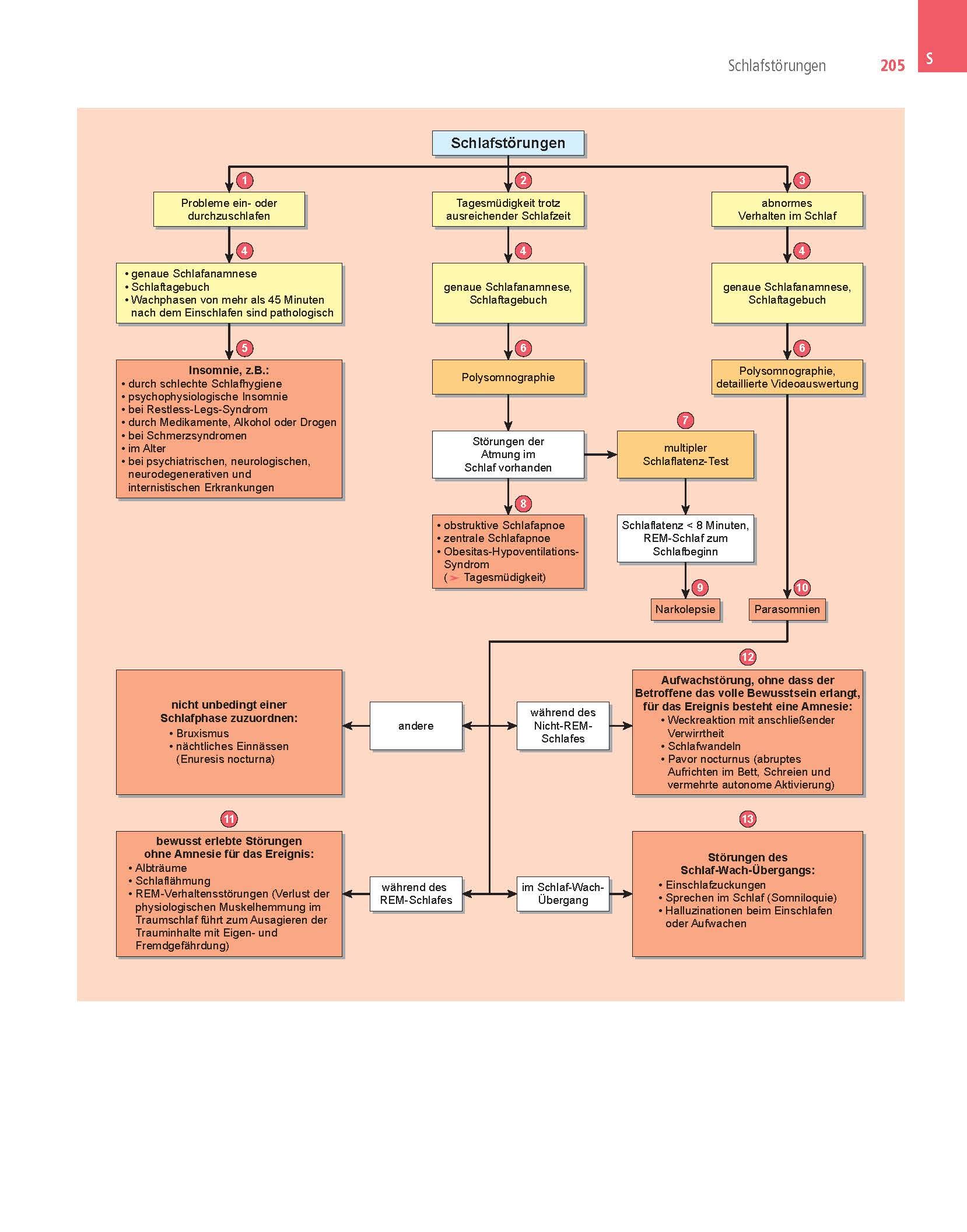 Differenzialdiagnostik und Differenzialtherapie in der Inneren Medizin: Klug entscheiden - gut behandeln - Mit Zugang zur Medizinwelt