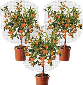 3 Pcs Plant Barrier Net Mesh, Plant Barrier Net Mesh, Bird Netting, Barrier Bags for Vegetables Fruits, Covering Plants Bags, Tomato Plant Netting for Protect Plants from Birds2.4 x 3.5 FT