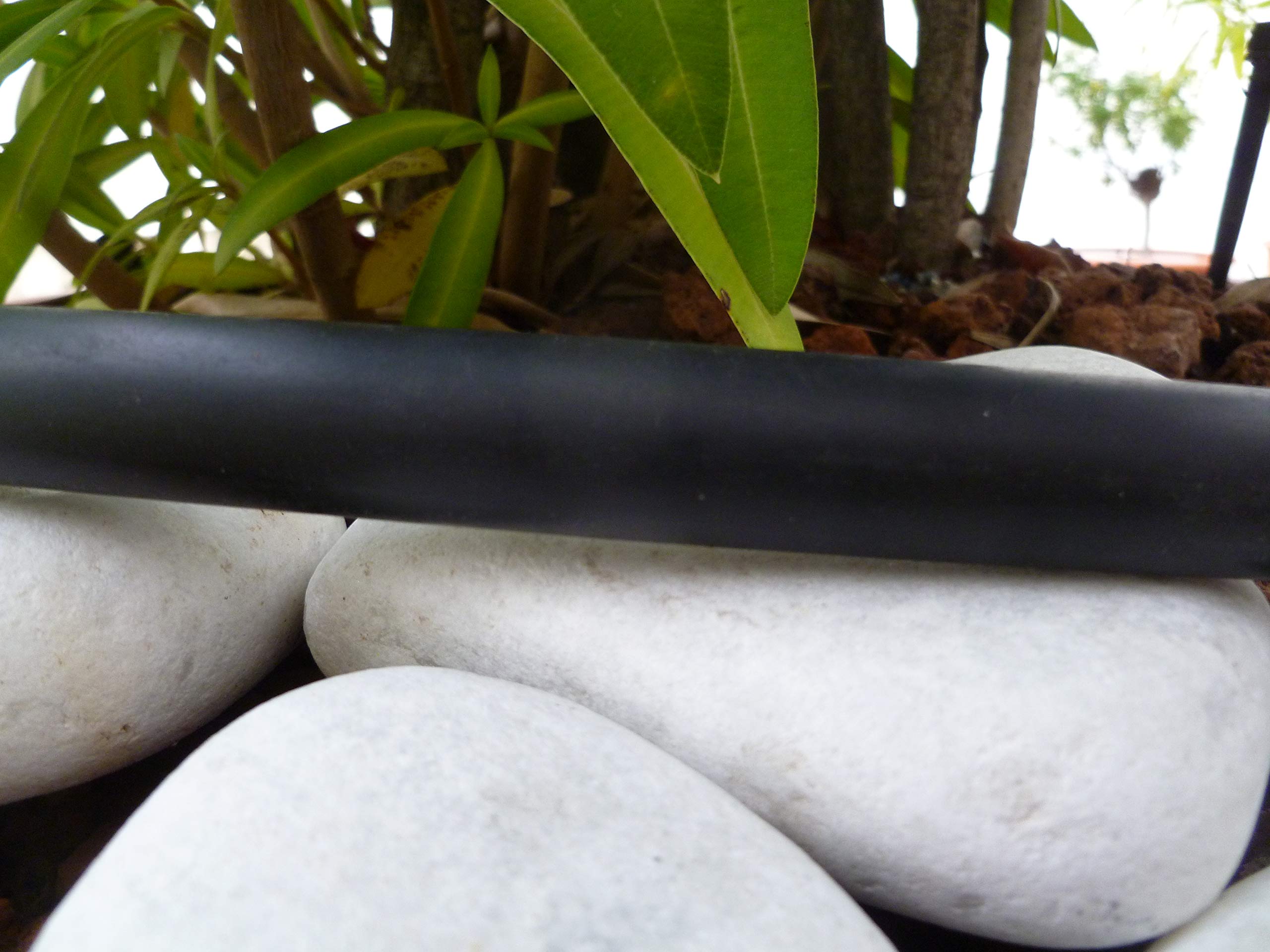 PEARL Tuyau De Ligne D'irrigation Goutte à Goutte 16 Mm Espacement Des Têtes Goutte à Goutte 20 Cm De 25 à 200 M