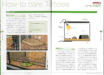 Amazon.co.jp: リクガメ (見て楽しめる爬虫類・両生類フォトガイド