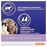 Ver la foto 5