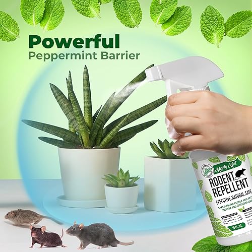 Vista 25 de Mighty Mint Spray repelente de roedores de aceite de menta, control natural para interiores y exteriores para ratones y ratas, fórmula extrafuerte a