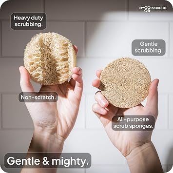 LoofaGO (10-Pack) Natural Loofah Sponges - 100% Biodegradable, Compostable & Plastic-Free, Non-Scratch Scrubbers for Kitchen, Dishes & Bath (Zero-Waste)