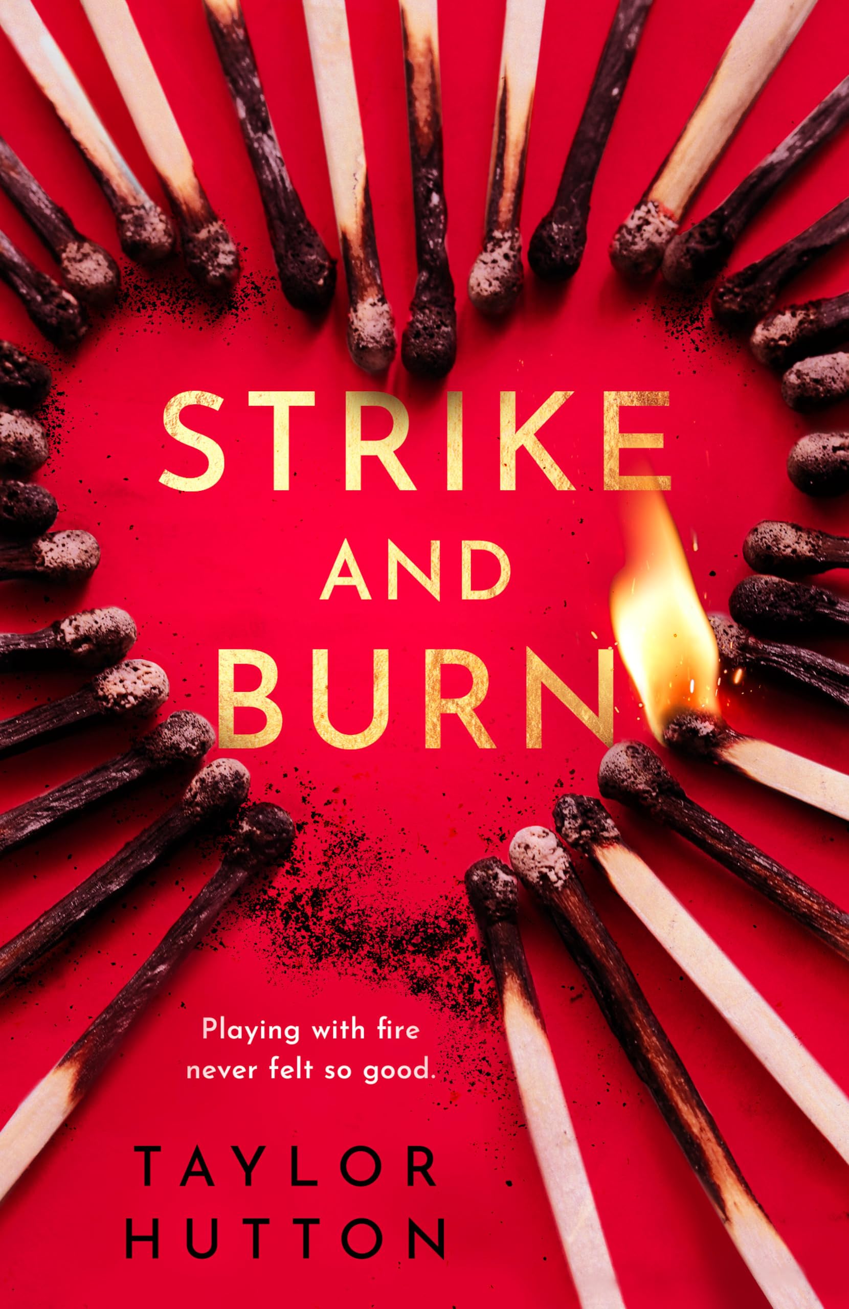Strike and Burn (Penguin Publishing Group)