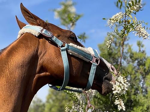 Miniatura 4 de Ride Now Cuello halter de caballo con hebilla brillante con banda de piel sintética desmontable