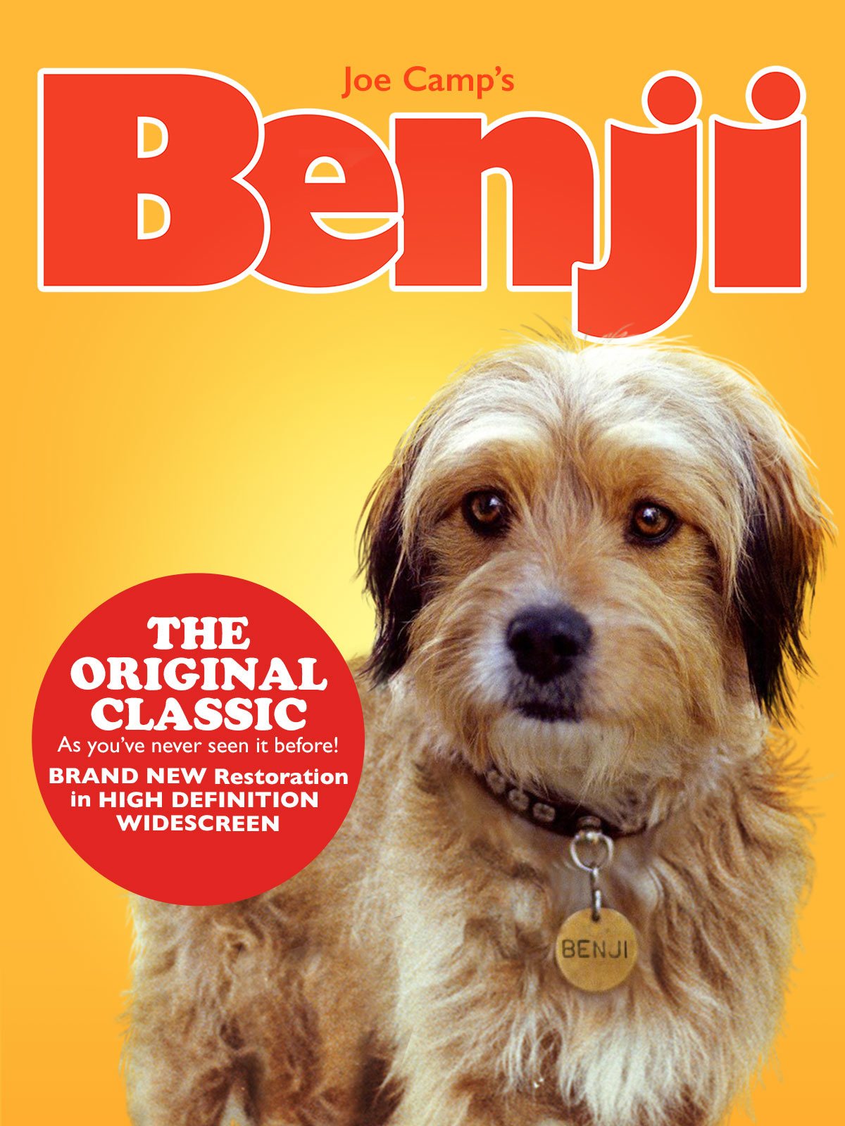 Benji Movie Benji Terrier Mix Benji Desertcart Seychelles